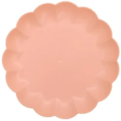 Assiette plastique iris d25.5cm