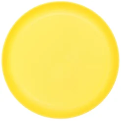 Assiette plastique strie 25cm