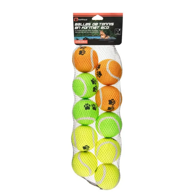 Balles x10 pour chien