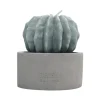 Bougie citronnelle forme cactus