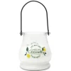 Bougie citronnelle led color cha