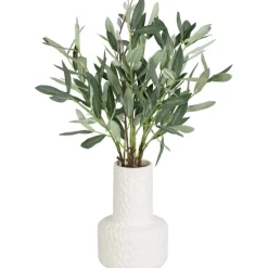 Bouquet olivier dans vase