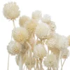 Bouquet seche