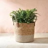 Cache pot panier naturel