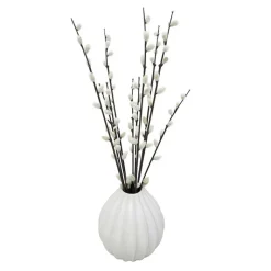 Chatons dans vase