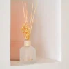 Diffuseur parfum fleurs sechees