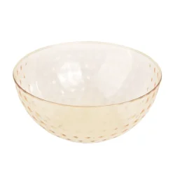 Grand bol plastique transparent