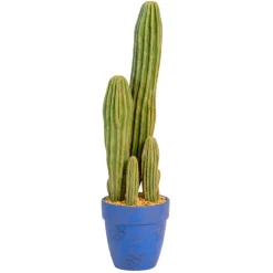 Grand cactus dans pot h66cm