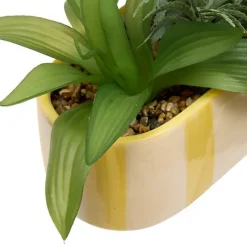 Jardiniere dans pot raye