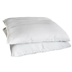Lot 2 oreillers 60x60cm