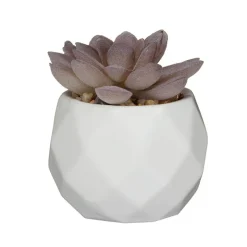 Mini succulente artificielle