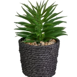Mini succulente pot tresse