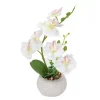 Orchidee artificielle