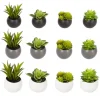 Plante artificielle aimant
