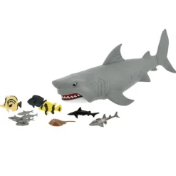 Requin sonore