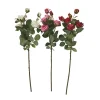 Roses en tige