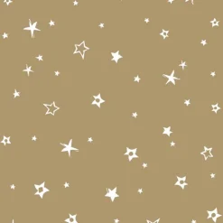 Serviette x50 33x33 2plis villag