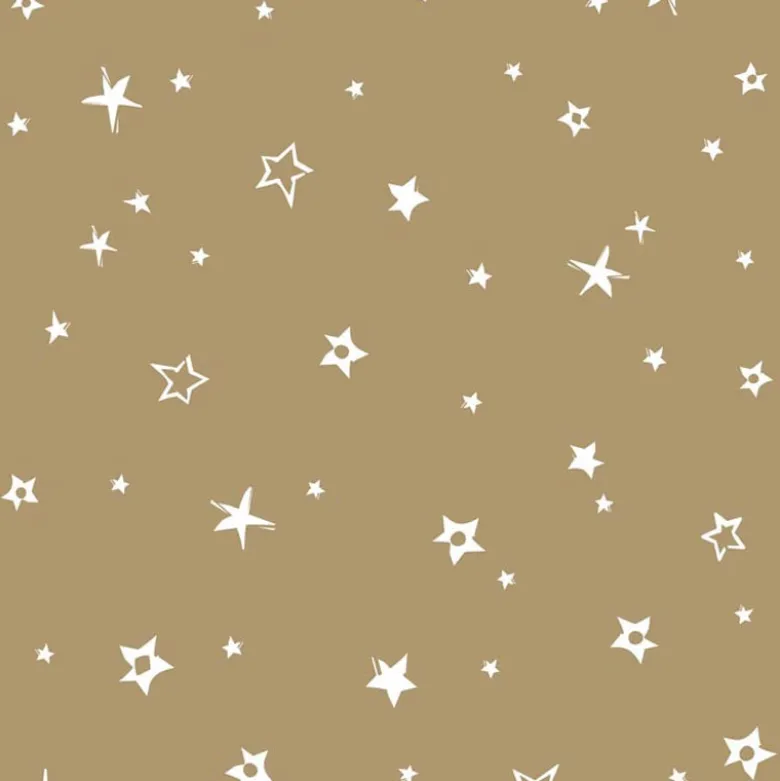 Serviette x50 33x33 2plis villag