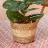 Set de 3 pots de fleurs