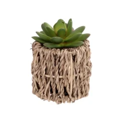 Succulente artificielle pot tres
