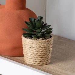 Succulente pot tresse