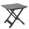 Table pliante