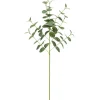 Tige eucalyptus artificiel