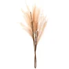Tige pampa artificielle beige