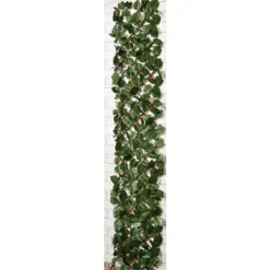 Treillis lierre extensible