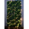 Treillis lierre extensible led